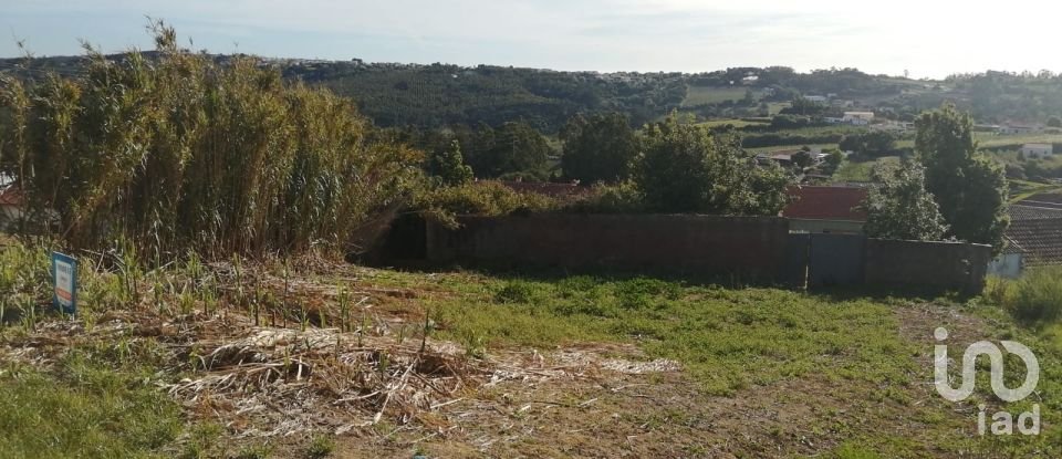 Terrain à Salir de Matos de 1 177 m²