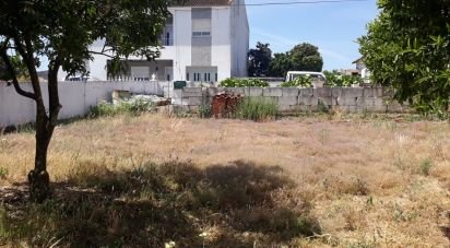 Building land in Fortios of 320 m²