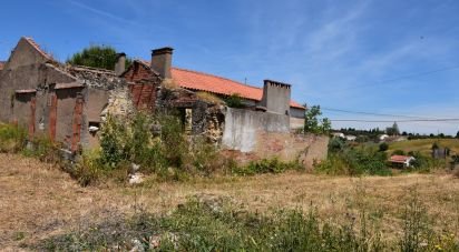Maison rustique T1 à Brogueira, Parceiros de Igreja e Alcorochel de 74 m²