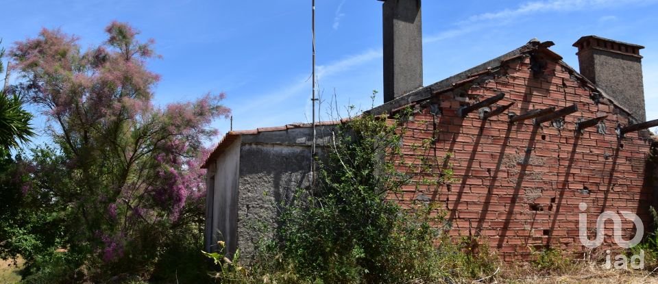 Casa de Campo T1 em Brogueira, Parceiros de Igreja e Alcorochel de 74 m²