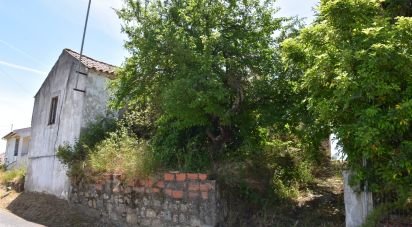 Maison rustique T1 à Brogueira, Parceiros de Igreja e Alcorochel de 74 m²