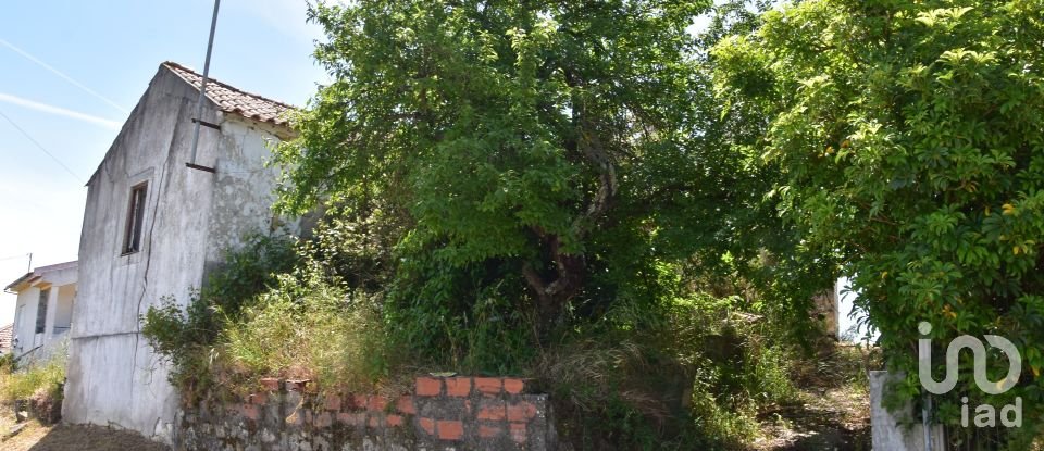 Casa de Campo T1 em Brogueira, Parceiros de Igreja e Alcorochel de 74 m²