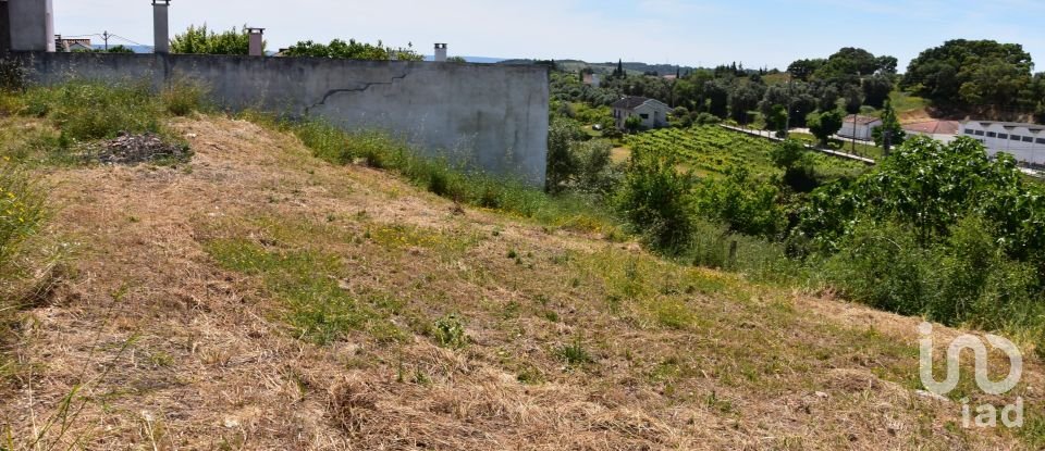 Casa de Campo T1 em Brogueira, Parceiros de Igreja e Alcorochel de 74 m²