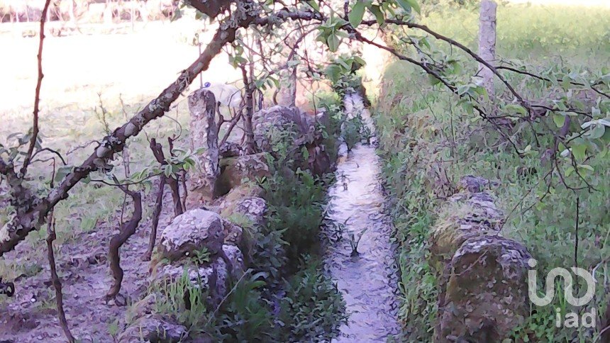 Terreno rústico em Moimenta da Serra e Vinhó de 2 126 m²