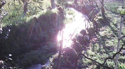 Terrain agricole à Moimenta da Serra e Vinhó de 2 126 m²