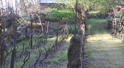 Terrain agricole à Moimenta da Serra e Vinhó de 2 126 m²