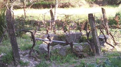 Terrain agricole à Moimenta da Serra e Vinhó de 2 126 m²