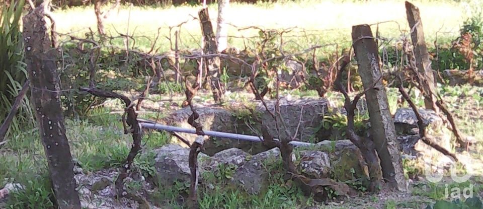 Terreno rústico em Moimenta da Serra e Vinhó de 2 126 m²