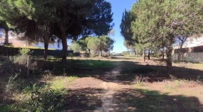 Building land in Almancil of 960 m²