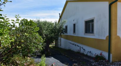 Casa de Campo T3 em Brogueira, Parceiros de Igreja e Alcorochel de 219 m²