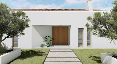Building land in Cadaval e Pêro Moniz of 16,730 m²