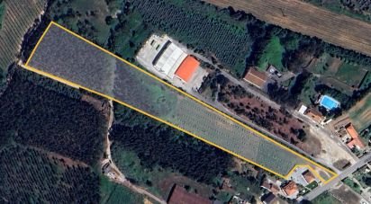 Terreno para construção em Cadaval e Pêro Moniz de 16 730 m²