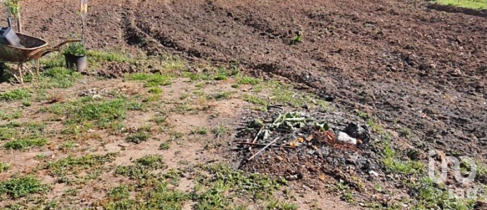 Farm T6 in Alfeizerão of 112 m²