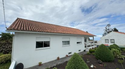 Lodge T3 in Ribeirinha of 374 m²