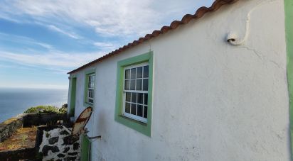 Maison traditionnelle T2 à Ribeiras de 108 m²