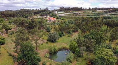 Ferme T6 à Candosa de 334 m²