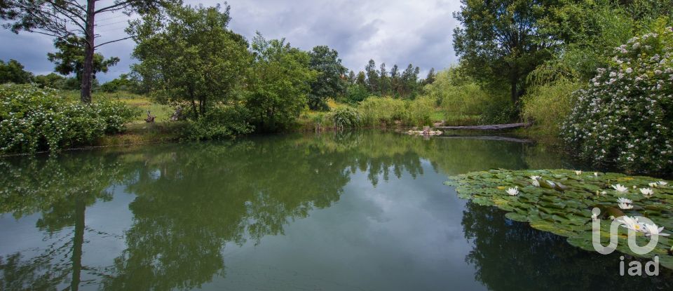 Farm T6 in Candosa of 334 m²