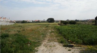 Land in Alcochete of 8,160 m²