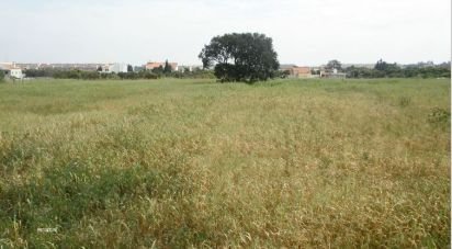 Terrain à Alcochete de 8 160 m²