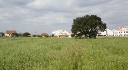 Terrain à Alcochete de 8 160 m²