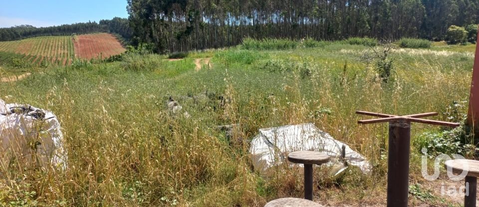 Boutique/Local commercial à Bombarral e Vale Covo de 524 m²