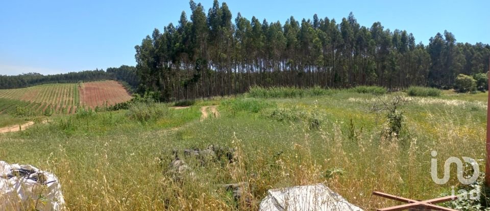 Boutique/Local commercial à Bombarral e Vale Covo de 524 m²