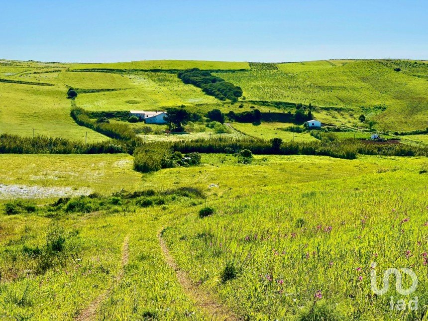 Land in Vila do Bispo e Raposeira of 19,000 m²