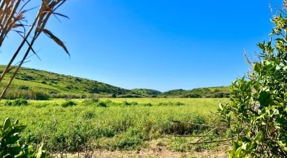 Terrain à Vila do Bispo e Raposeira de 19 000 m²