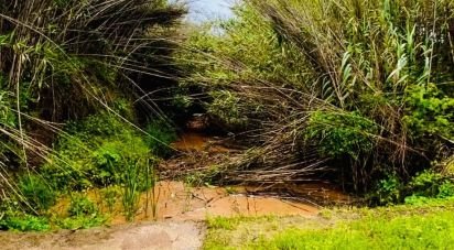 Terrain à Vila do Bispo e Raposeira de 19 000 m²