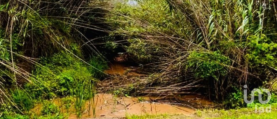 Land in Vila do Bispo e Raposeira of 19,000 m²