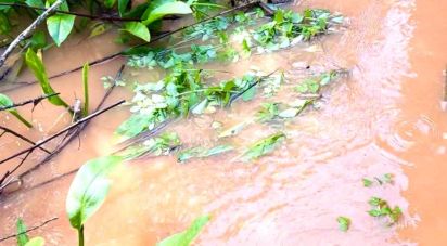 Terrain à Vila do Bispo e Raposeira de 19 000 m²