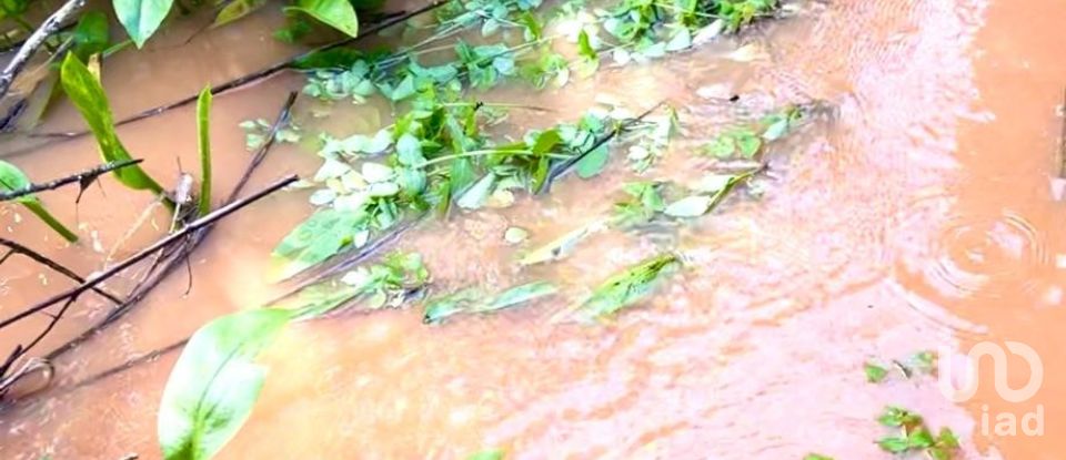 Land in Vila do Bispo e Raposeira of 19,000 m²