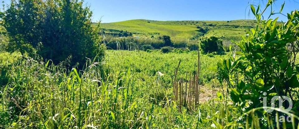 Land in Vila do Bispo e Raposeira of 19,000 m²