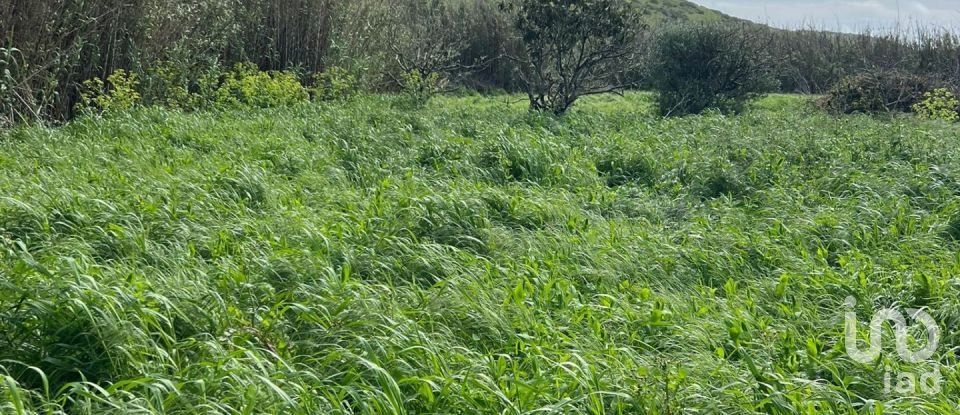 Land in Vila do Bispo e Raposeira of 19,000 m²