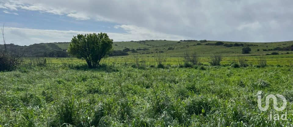 Land in Vila do Bispo e Raposeira of 19,000 m²