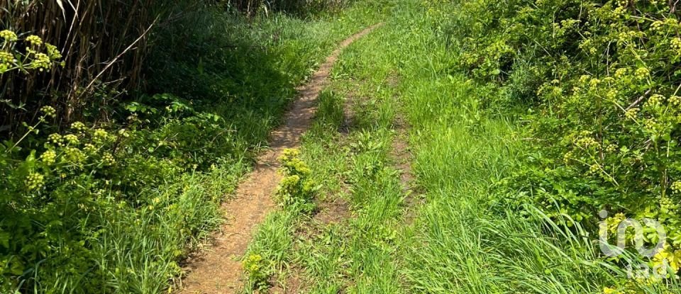 Land in Vila do Bispo e Raposeira of 19,000 m²