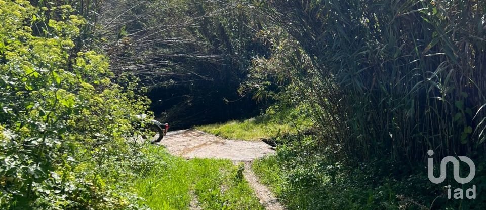 Land in Vila do Bispo e Raposeira of 19,000 m²