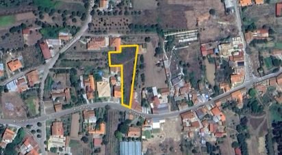 Terrain à Avelãs de Cima de 1 918 m²