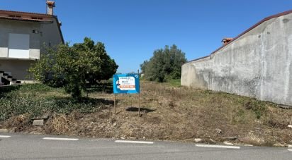 Terrain à Avelãs de Cima de 1 918 m²