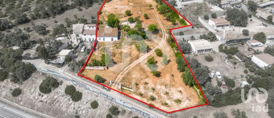 Quinta T1 em Loulé (São Clemente) de 100 m²