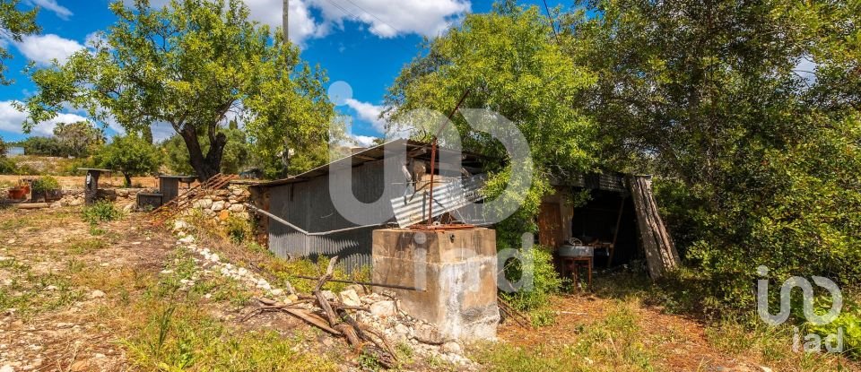 Quinta T1 em Loulé (São Clemente) de 100 m²