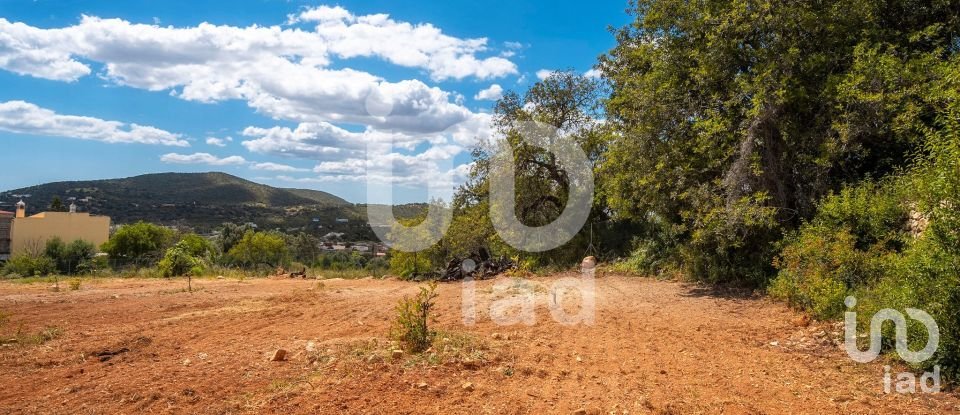 Quinta T1 em Loulé (São Clemente) de 100 m²