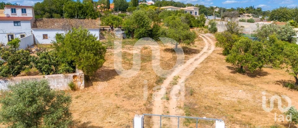 Quinta T1 em Loulé (São Clemente) de 100 m²