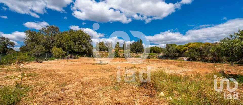 Quinta T1 em Loulé (São Clemente) de 100 m²