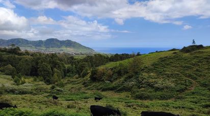 Terrain à Povoação de 142 408 m²