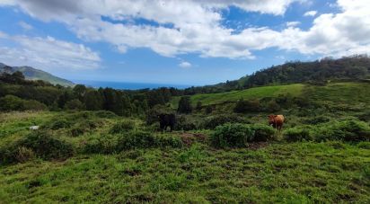 Terrain à Povoação de 142 408 m²