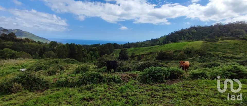 Terrain à Povoação de 142 408 m²