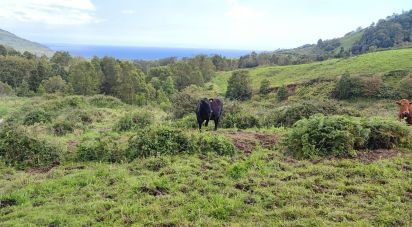 Terrain à Povoação de 142 408 m²