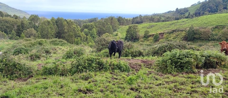 Terrain à Povoação de 142 408 m²