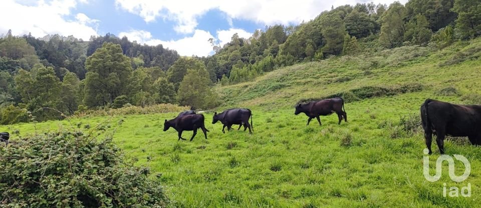 Terrain à Povoação de 142 408 m²